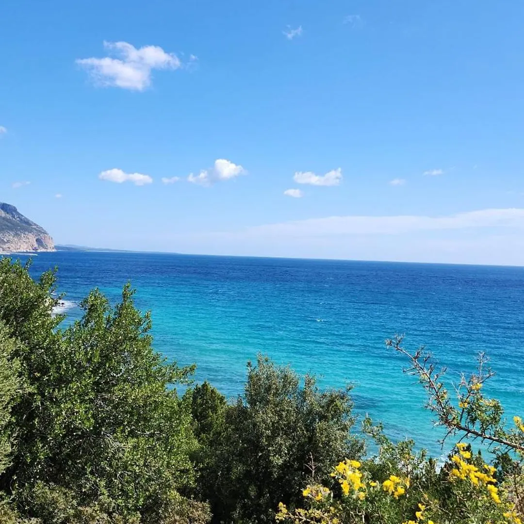 Casa Delle Rose Apartment Cala Gonone Italy