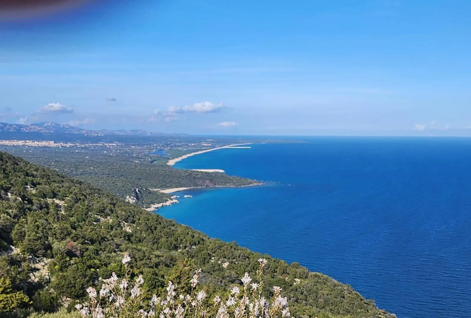 Casa Delle Rose Apartment Cala Gonone